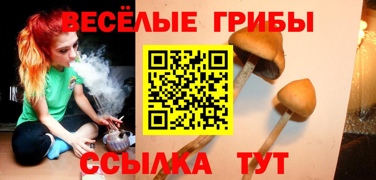 Ярославль  Псилоцибиновые грибы ЛСД  Вход с VPN 