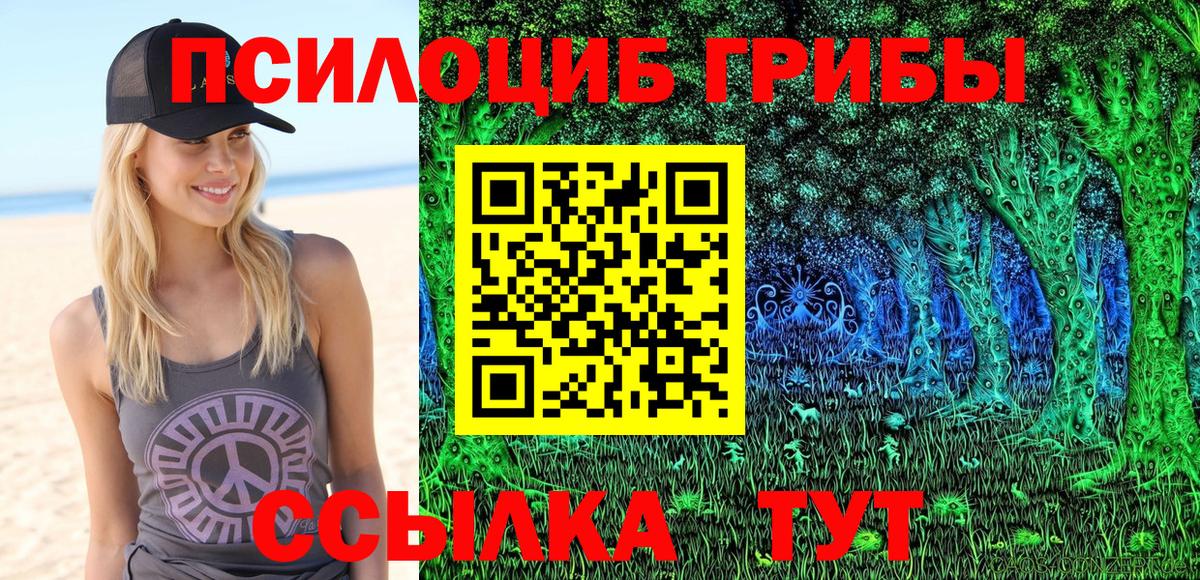 Псилоцибиновые грибы ЛСД Ярославль